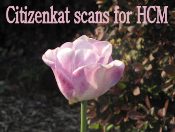 Citizenkat sphynx scan for HCM pennsylvania