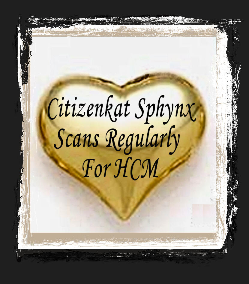 Citizenkat Sphynx Scans for HCM